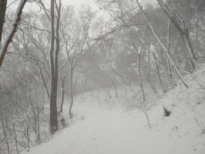 봉산주유소 이미지