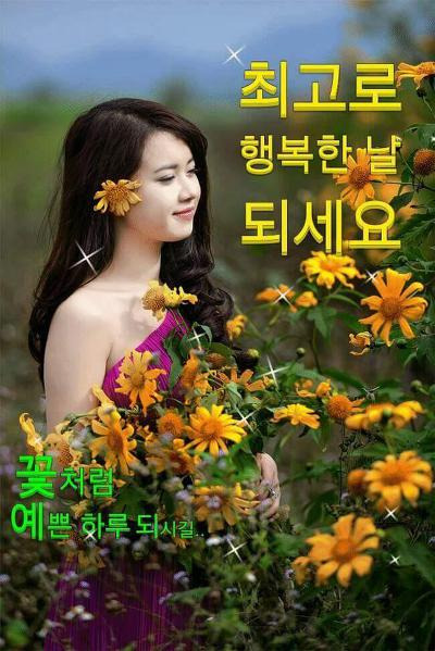 정(情) 이미지