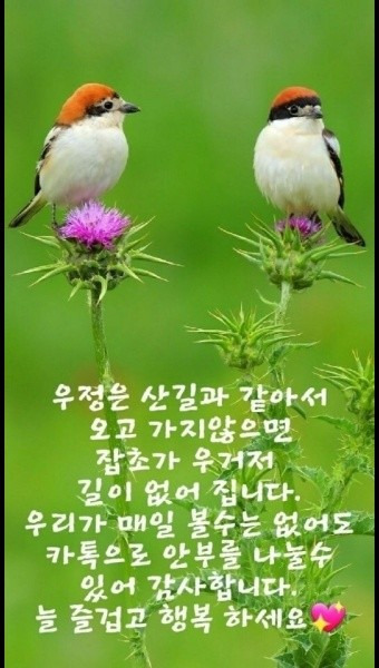멋진인생 이미지