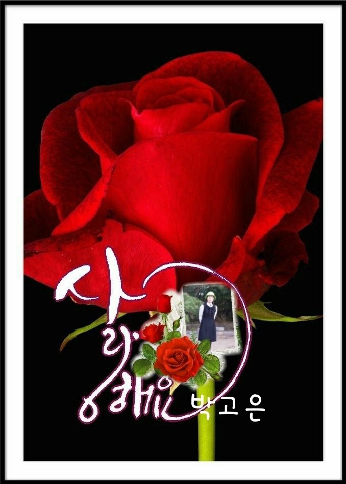 매향 이미지