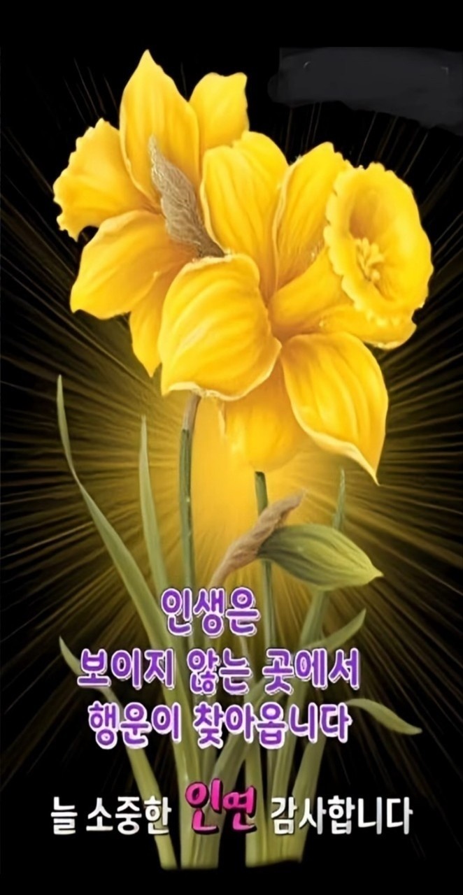 행운 이미지