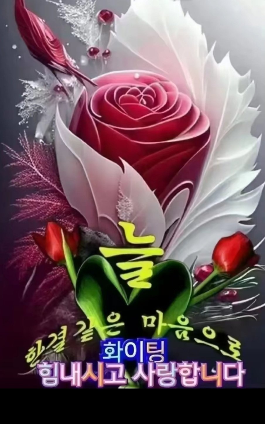 늘;한결같은 이미지