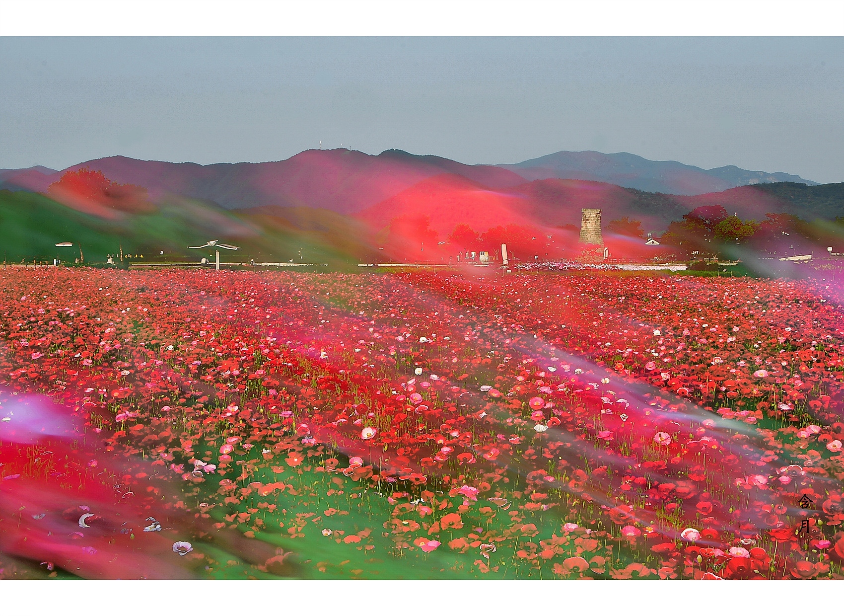 바람불어좋은날 이미지
