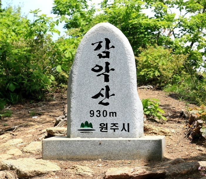 산그린 이미지