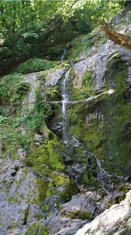 산길 이미지