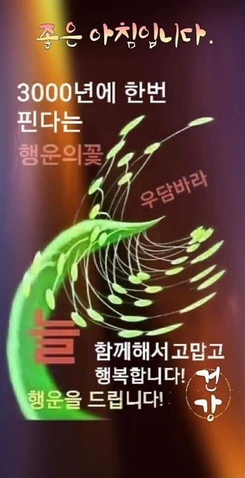 제네레터 이미지