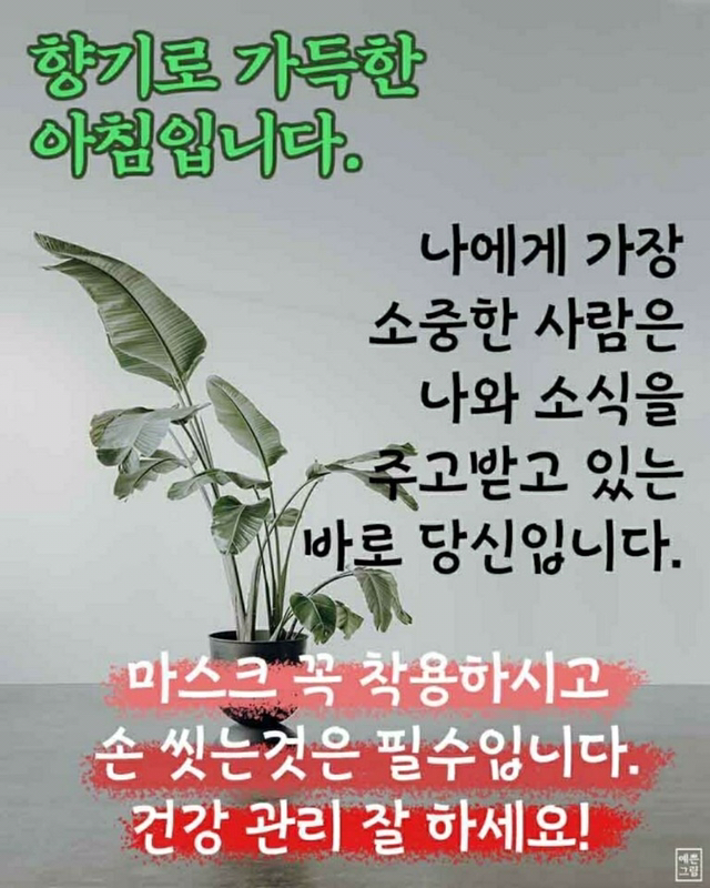 거안 이미지