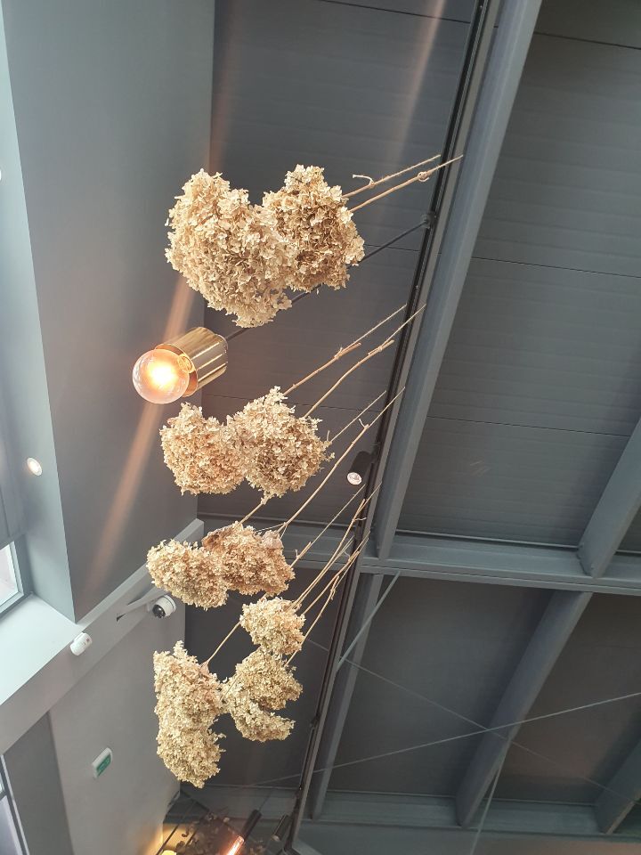 안천장 이미지