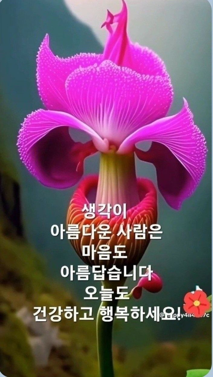 만남 이미지