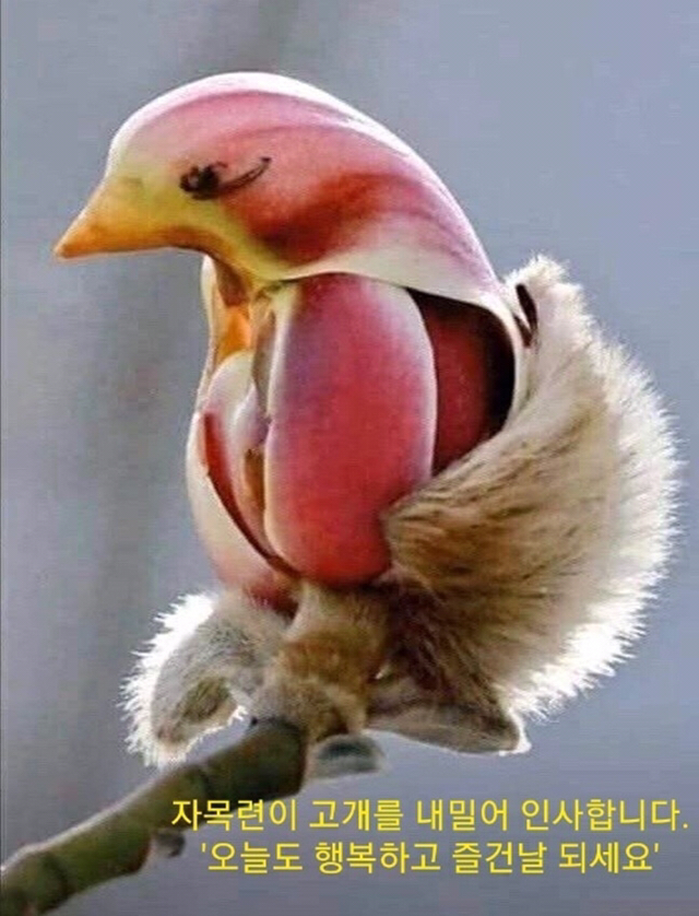 나그네길 이미지