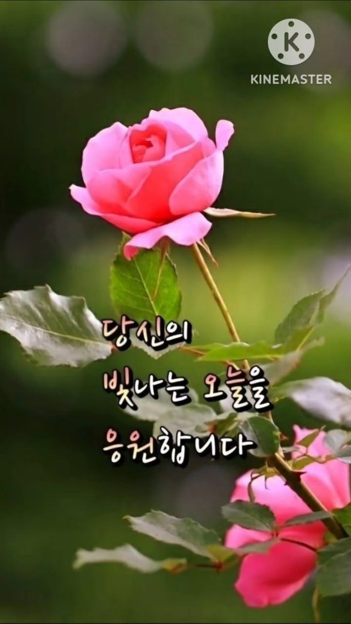 행복한날 이미지