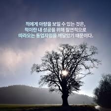 아량 이미지