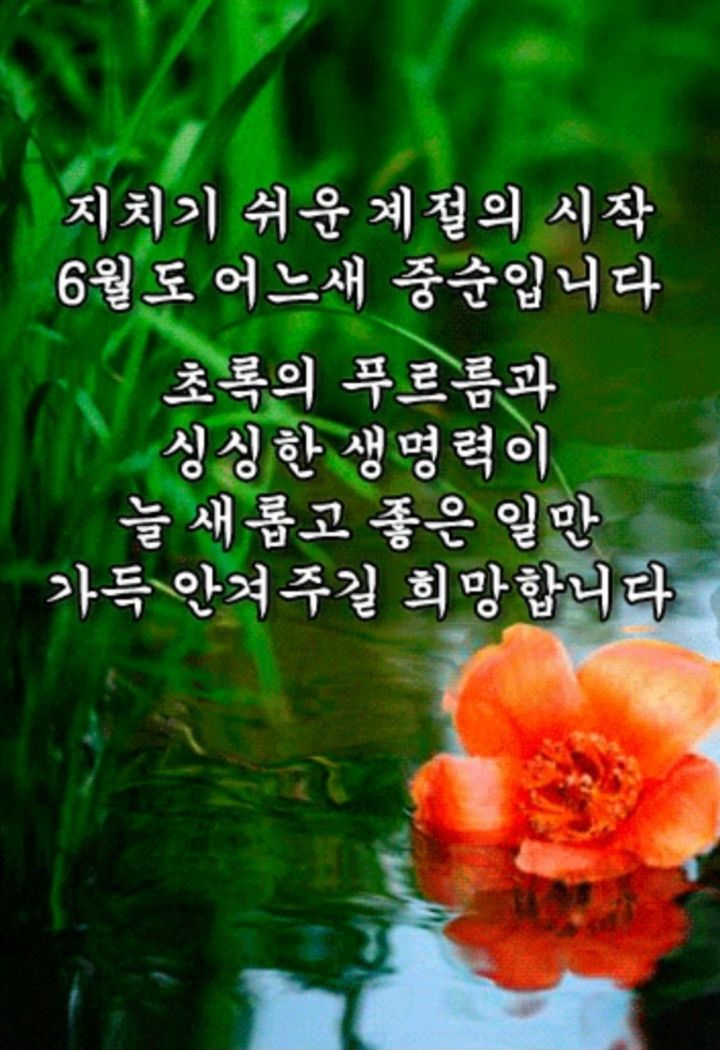 오늘은좋은마음 이미지
