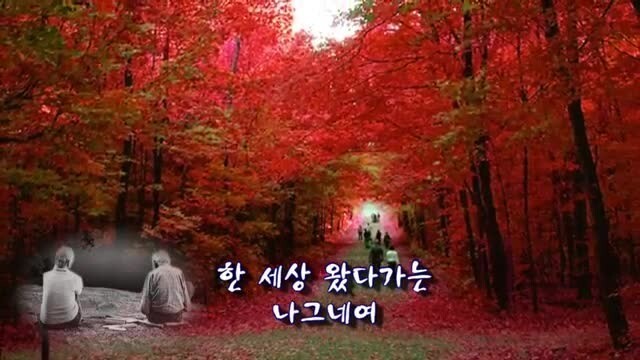 한세상 이미지