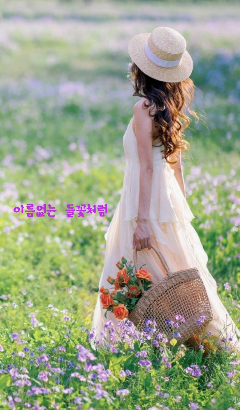 들꽃처럼 이미지