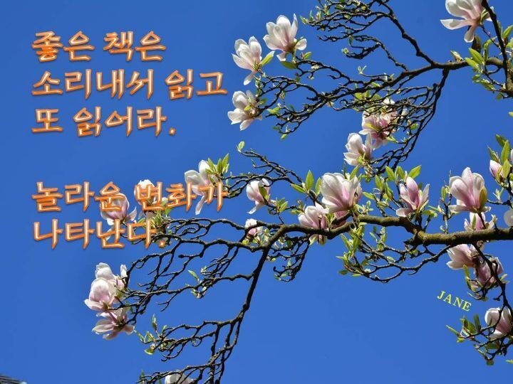 금수강산아리랑 이미지
