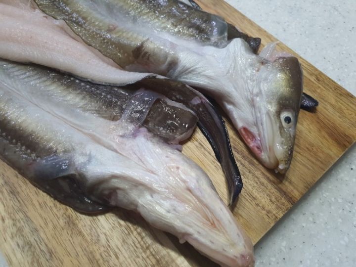우리장어 이미지