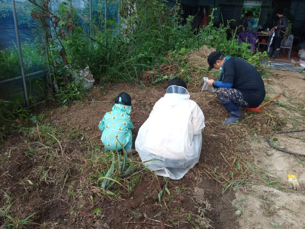 서진농막 이미지