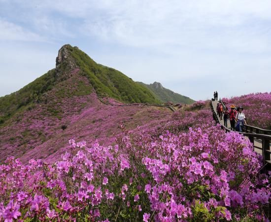 산 이미지