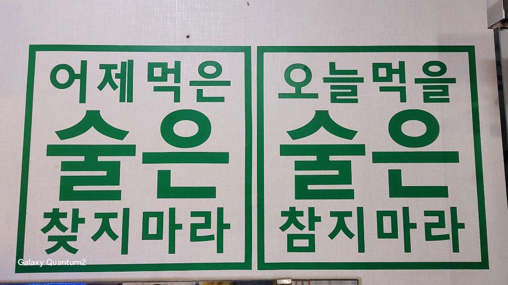 차차네 이미지