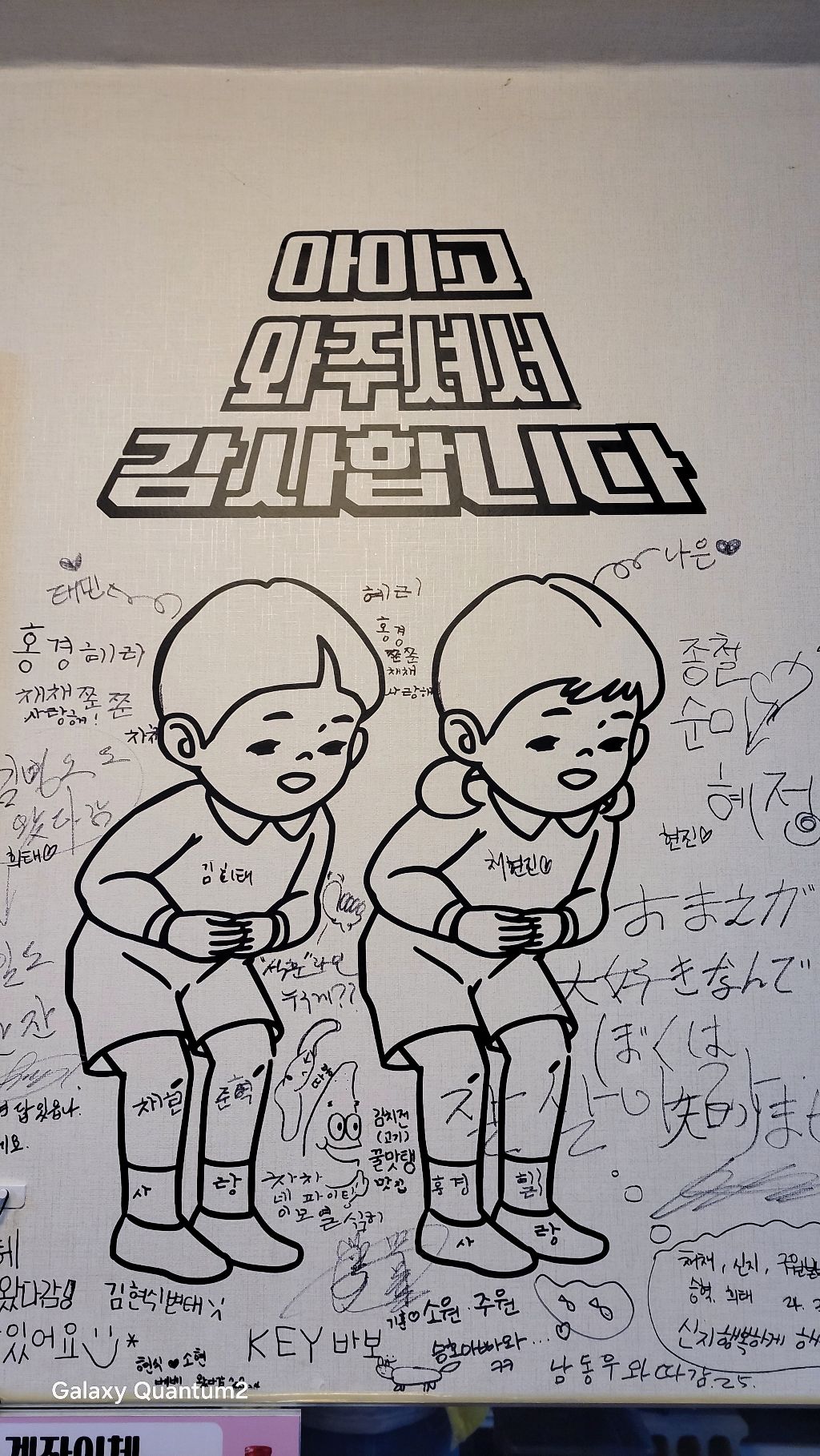 차차네 이미지