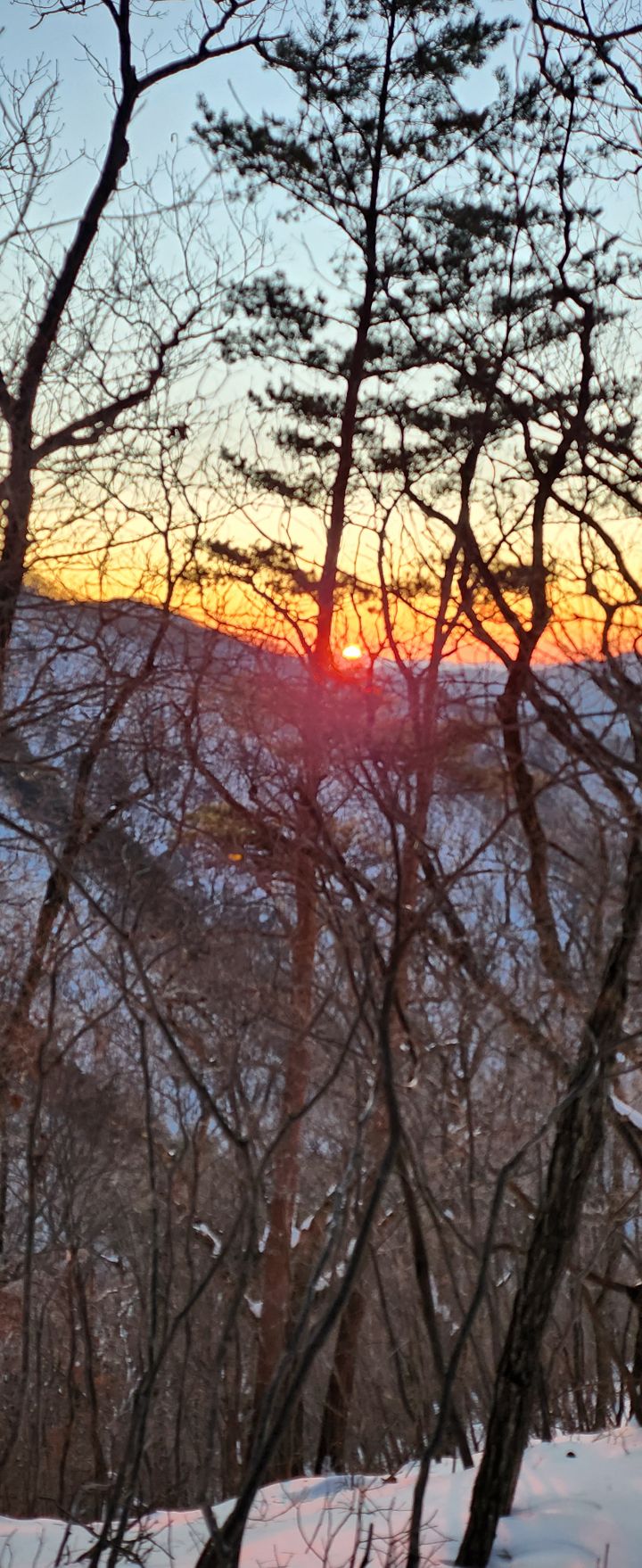 태백산족발 이미지