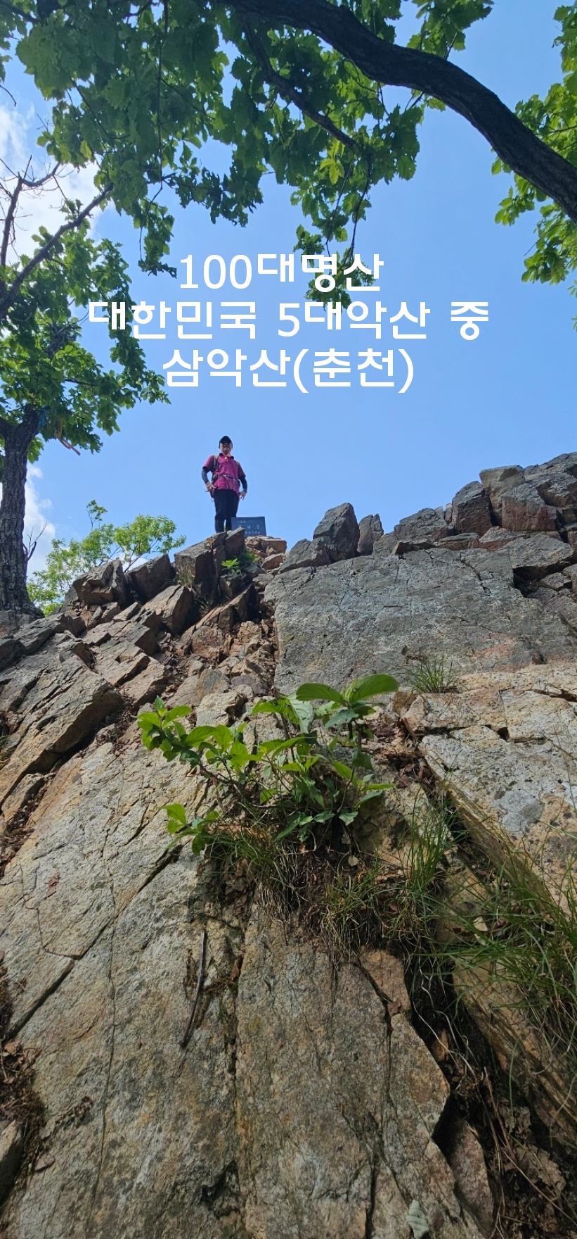 삼악산막국수 이미지