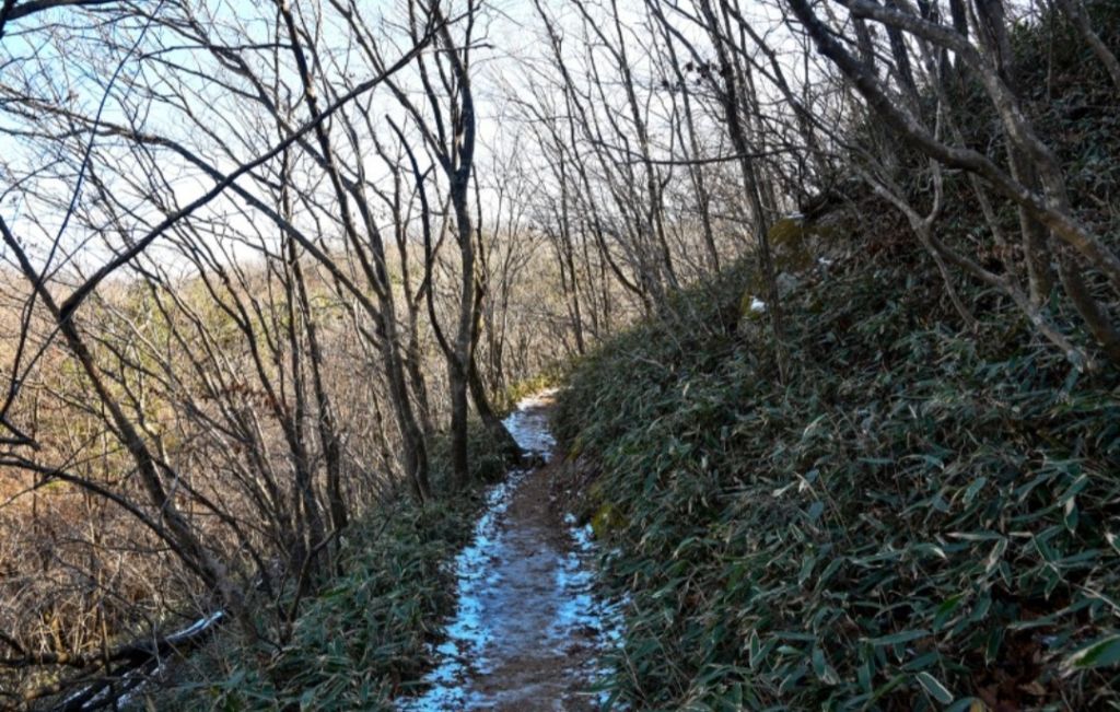 속리산동행 이미지