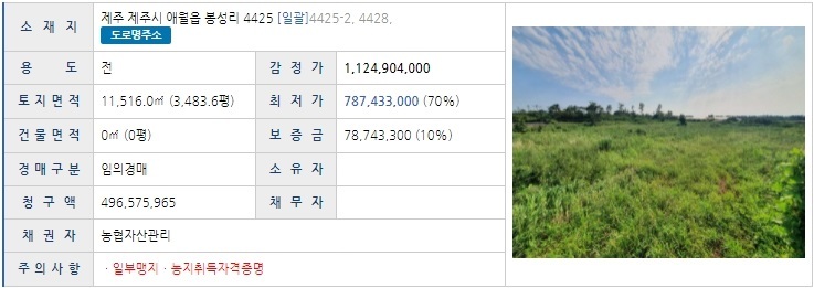 어도초등학교 이미지