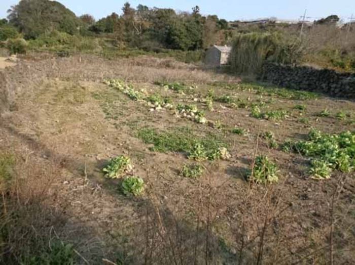 납읍초등학교 이미지