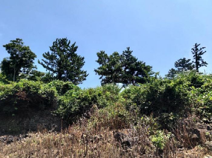 어도초등학교 이미지