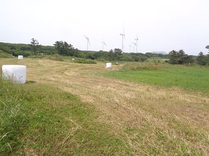 금악초등학교 이미지