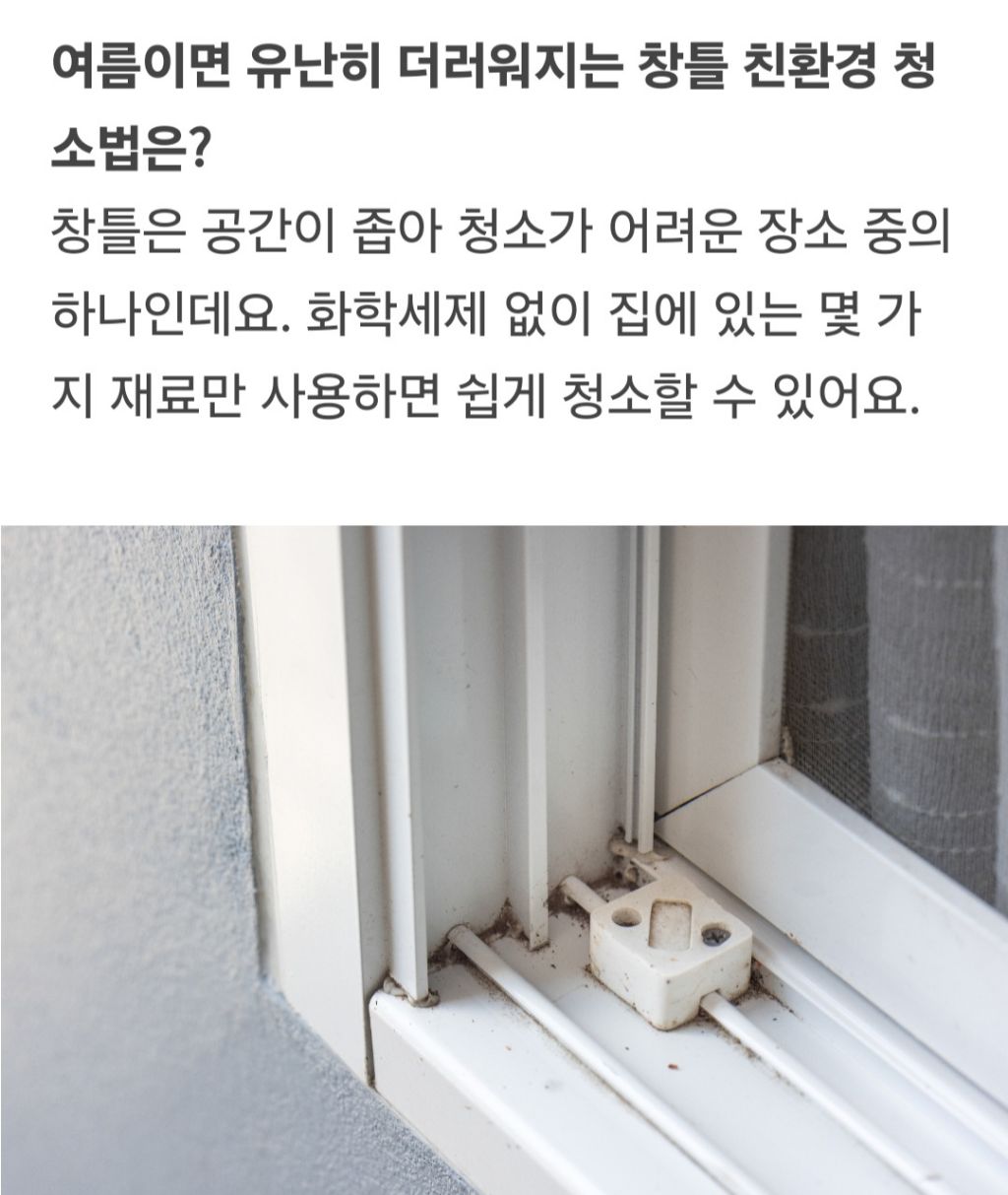 친환경청소 이미지