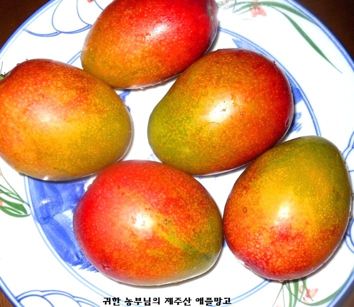 애플망고 이미지