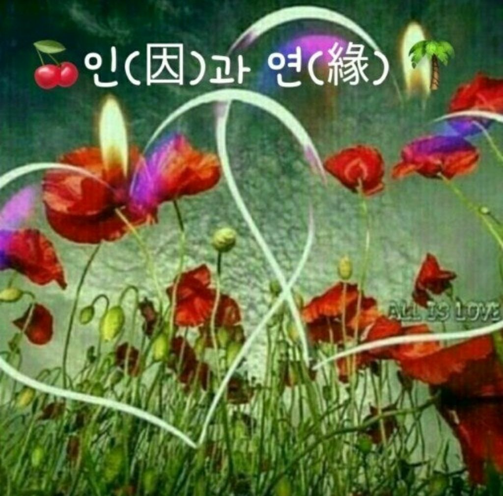 연(緣) 이미지