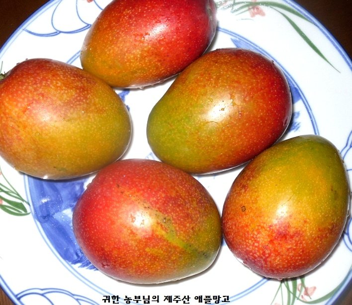 애플망고 이미지