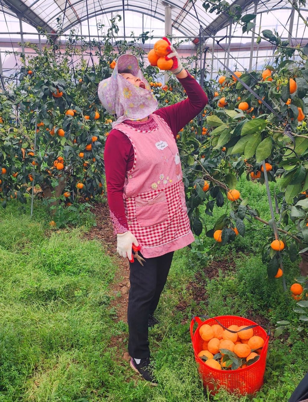 바로마켓 이미지