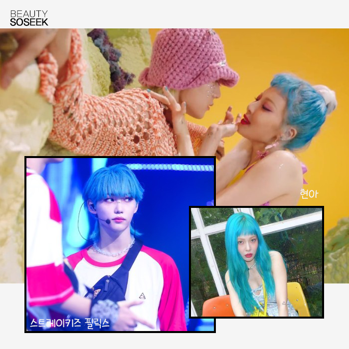 스테디헤어 이미지