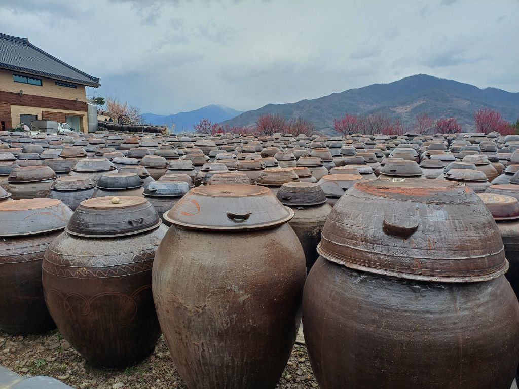 한세상 이미지