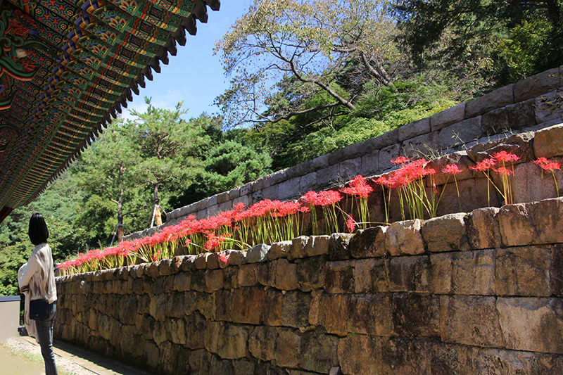 영광상사 이미지