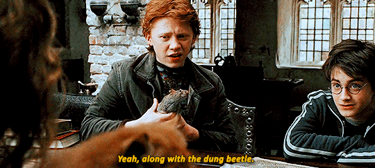 [해리포터] 티격태격 싸우다 정드는 소꿉친구 클리셰의 정석. jpgif | 인스티즈