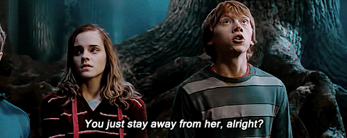 [해리포터] 티격태격 싸우다 정드는 소꿉친구 클리셰의 정석. jpgif | 인스티즈