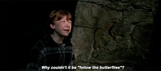 [해리포터] 티격태격 싸우다 정드는 소꿉친구 클리셰의 정석. jpgif | 인스티즈