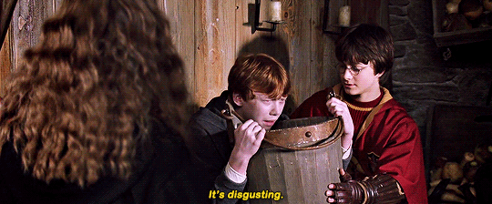 [해리포터] 티격태격 싸우다 정드는 소꿉친구 클리셰의 정석. jpgif | 인스티즈