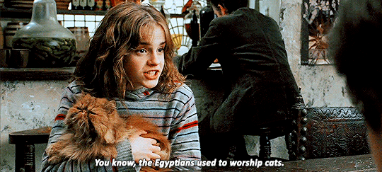 [해리포터] 티격태격 싸우다 정드는 소꿉친구 클리셰의 정석. jpgif | 인스티즈