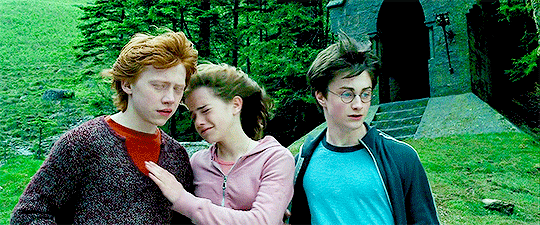 [해리포터] 티격태격 싸우다 정드는 소꿉친구 클리셰의 정석. jpgif | 인스티즈