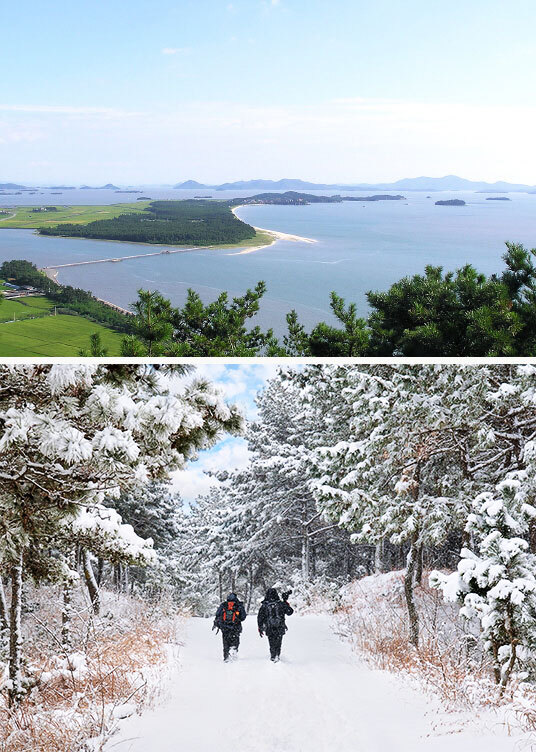 엘도라도 이미지