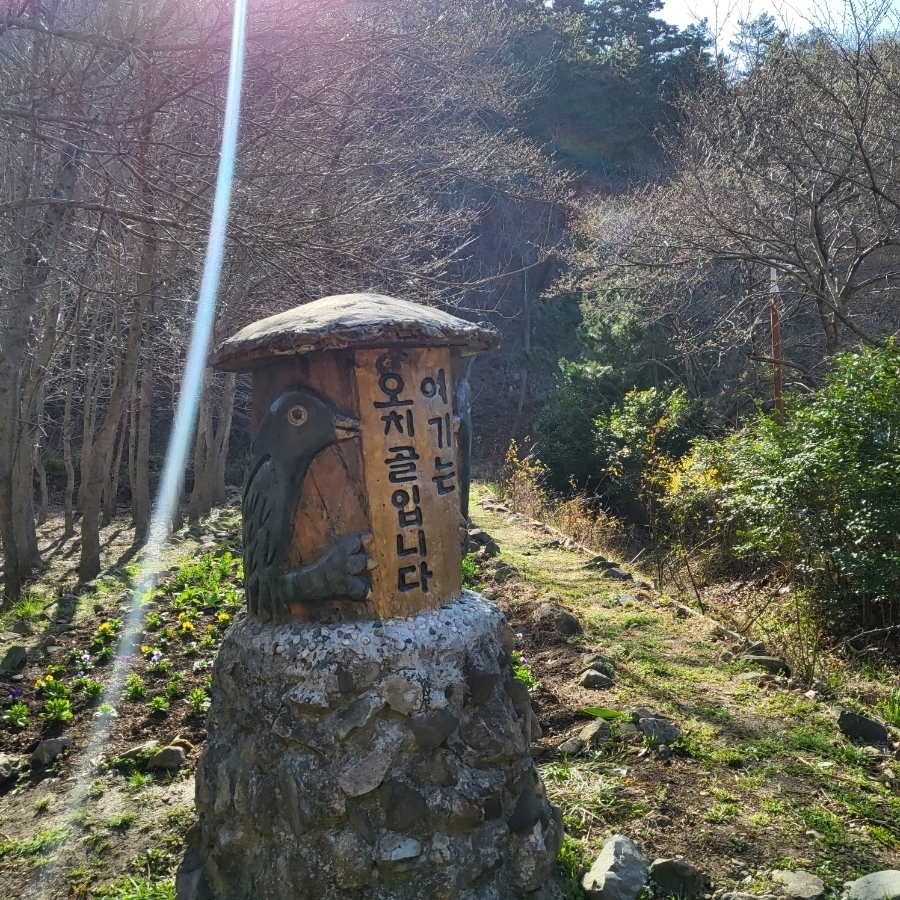 오치골 이미지