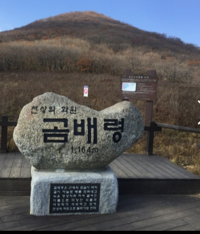 (주)철마관광 이미지