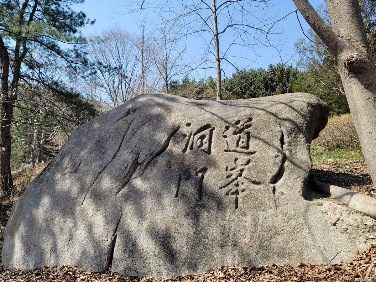 선*봉 이미지
